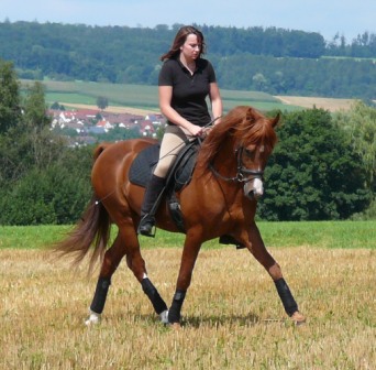 SRF Barolo